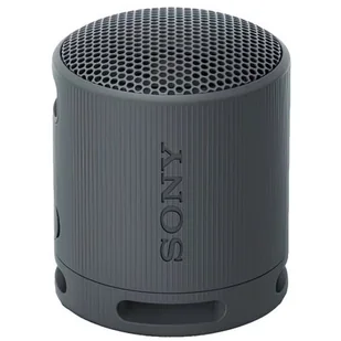 Sony SRS-XB100 Czarny - Głośniki przenośne - miniaturka - grafika 1
