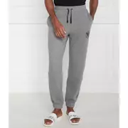 Emporio Armani Spodnie dresowe | Regular Fit