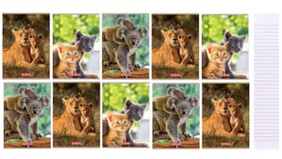 Herlitz Zeszyt A5/16K linia podwójna Animals (10szt) - - Zeszyty szkolne - miniaturka - grafika 1