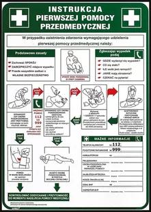 Raw-pol Znak Instrukcja Pierwszej Pomocy Z-IB13-P 250x350 - Tablice BHP - miniaturka - grafika 1