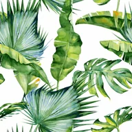 Panele ścienne i boazeria - Alfa-Cer Panel kuchenny szklany Monstera white 60 x 60 cm - miniaturka - grafika 1