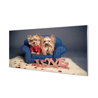 Tablice i flipcharty - Panel dekoracyjny szkło hartowane Yorki 120x60 cm - miniaturka - grafika 1