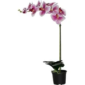 Sztuczne kwiaty - Storczyk sztuczny premium 9 kwiatów 80 x 12 cm - miniaturka - grafika 1