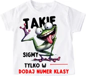 Koszulki męskie - KOSZULKA DLA KOLEGÓW Z KLASY - TAKIE SIGMY - miniaturka - grafika 1