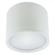 Lampy sufitowe - Ideus Plafon 10W LED 4000K 03109 - miniaturka - grafika 1