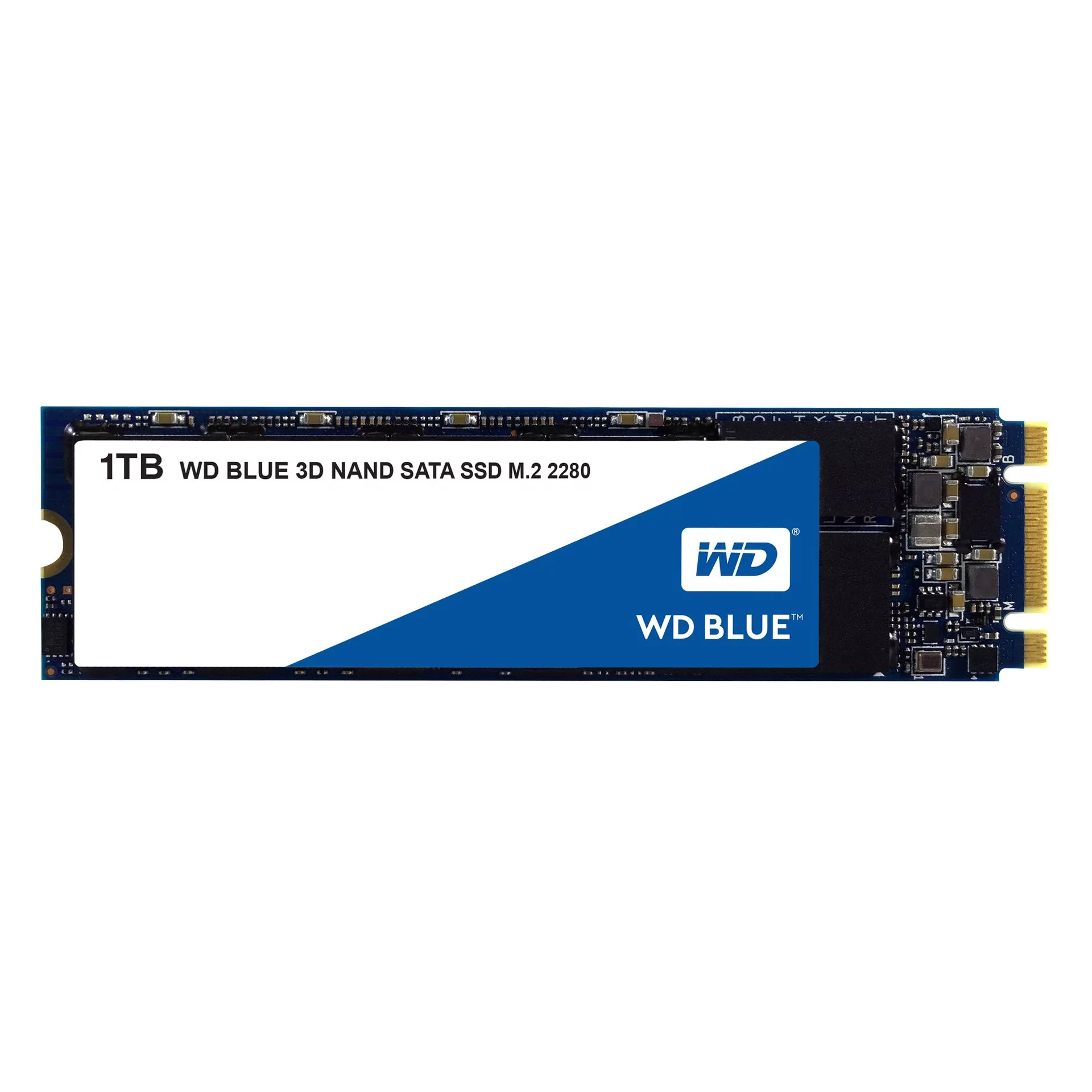 Western Digital Blue 1TB WDS100T2B0B - Ceny i opinie na