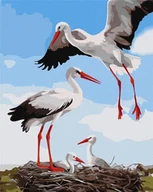 Kolorowanki, wyklejanki - Malowanie po numerach - Rodzina bocianów 40x50cm - miniaturka - grafika 1