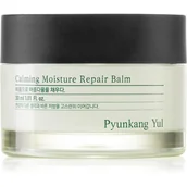 Kremy do twarzy - Pyunkang Yul Calming Moisture Repair Balm 30ml - miniaturka - grafika 1
