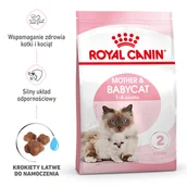 Sucha karma dla kotów - ROYAL CANIN  Mother&Babycat 2kg + niespodzianka dla kota GRATIS! - miniaturka - grafika 1
