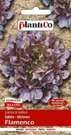 Nasiona i cebule - Sałata liściowa Flamenco 0.5 g Plantico - miniaturka - grafika 1
