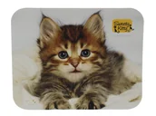 Podkładki pod mysz - Podkładka pod mysz 18x22 cm Carmani - Urocze kociaki 022-0341 - miniaturka - grafika 1