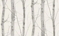 Tapety - EB-Erismann 6305  10 tapeta z włókniny kolekcja paradisio - miniaturka - grafika 1