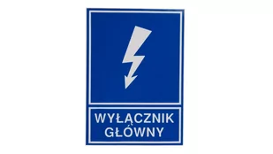 ERGOM Naklejka TZI 74*105S WYŁ.GŁ. - Tablice BHP - miniaturka - grafika 1