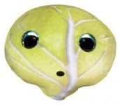 Maskotki i pluszaki - Tactic Lumo Stars Veggies and Berries Kapusta Teikku - miniaturka - grafika 1