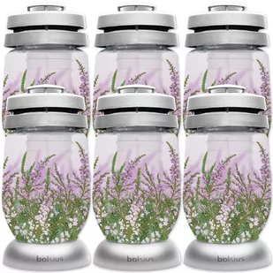 Znicze Bolsius 3S 16 Wrzos wkłady 36h 1,5 dnia 6 szuk - Lampiony i znicze Znicze Bolsius 3S 16 Wrzos wkłady 36h 1,5 dnia 6 szuk - Lampiony i znicze - miniaturka - grafika 1