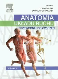 Urban & Partner Anatomia układu ruchu Przewodnik do ćwiczeń - Edra Urban & Partner - Książki medyczne - miniaturka - grafika 2