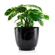 Donice - Osłonka na doniczkę TWARZ GŁOWA ozdobna nowoczesna na parapet komodę 18,5cm - miniaturka - grafika 1