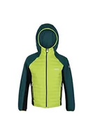 Kurtki i płaszcze dla chłopców - Regatta Kielder Hybrid V Unisex Kielder Hybrid V, Jasne Kiwi/Pacyfiku Zielony/Czarny, 15 jaar - miniaturka - grafika 1