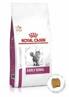 Sucha karma dla kotów - Royal Canin Vet Renal RF23 4 kg - miniaturka - grafika 1