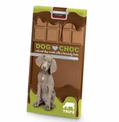 Przysmaki dla psów - Duvo+ DUVO Czekolada Dog Choc dla Psów z Łososiem 100g OF-A-12380-DUVO+ - miniaturka - grafika 1
