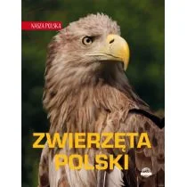 Zwierzęta Polski. Nasza Polska | ZAKŁADKA DO KSIĄŻEK GRATIS DO KAŻDEGO ZAMÓWIENIA - Książki o kulturze i sztuce - miniaturka - grafika 2