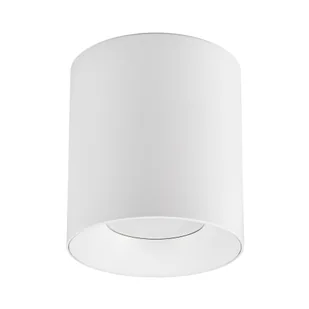 OPRAWA NATYNKOWA SPOT TUBA BIAŁA NURI W1 - Lampy sufitowe - miniaturka - grafika 1