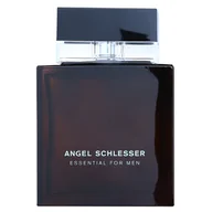 Wody i perfumy męskie - Angel Schlesser Essential Woda toaletowa 100ml - miniaturka - grafika 1