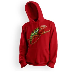 Bluza dziecięca z kapturem kameleon-140 - Bluzy dla dziewczynek - miniaturka - grafika 1