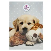 Notesy i bloczki - Notes A6/30k Poddruk Sweet Pets Fol A 12 Beniamin  102505 - miniaturka - grafika 1