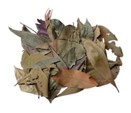 Dekoracje do terrarium - EXO PLANET Jungle Mix Leaves – liście z dżungli 40g - miniaturka - grafika 1