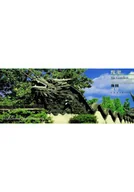 Książki o kulturze i sztuce - Yuyuan 12 panoramic prints - miniaturka - grafika 1