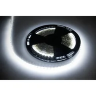 Taśmy LED - sznur diodowy 25m Rebel (1500x5050 SMD) zimny biały, 12V - miniaturka - grafika 1