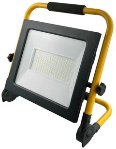 Naświetlacz LED TIGRA P 100W barwa NEUTRALNA BIAŁA - Oprawy, klosze i abażury - miniaturka - grafika 1