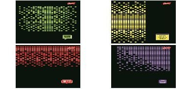 Paczka Zeszyt A5 96K.Linia Okładka Laminowana Pixel Pulse Mix 10 Sztuk