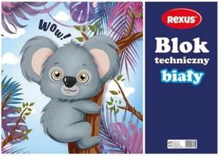 Beniamin Blok techniczny S J - Szkolne artykuły papiernicze - miniaturka - grafika 1