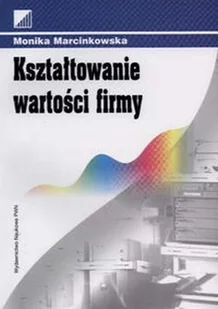 Kształtowanie wartości firmy - Zarządzanie - miniaturka - grafika 1