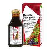 Witaminy i minerały - Salus Floradix Żelazo i Witaminy 250 ml - miniaturka - grafika 1