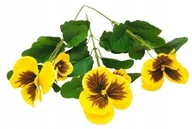 Sztuczne kwiaty - KWIATY BRATKI sztuczne DEKORACJA DO koszyka Wielkanoc stroik prezent 3 szt - miniaturka - grafika 1