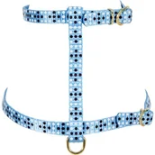 Szelki dla kotów - Zolux Zolux Szelki nylonowe COLORFUL 10 mm kol. niebieski - miniaturka - grafika 1