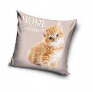 Pościel dla dzieci - Poszewka na poduszkę 40x40 kot MUNCHKIN - miniaturka - grafika 1