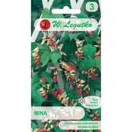 Nasiona i cebule - Legutko Mina czerwono żółta 0,5g st - miniaturka - grafika 1