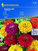 Cynia Espana Mix – Kiepenkerl