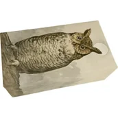 Mydła - Skona Ting Mydło zapach leśny Sowa 200 g - miniaturka - grafika 1