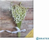 Albumy fotograficzne - Poldom Album Poldom bd-100pg assort-52 czarne strony - miniaturka - grafika 1