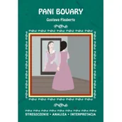 Pomoce naukowe - LITERAT Streszczenia - Pani Bovary LITERAT - miniaturka - grafika 1