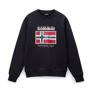 Bluza męska Napapijri B-Dorees C - Bluzy męskie - miniaturka - grafika 1