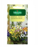 Nasiona i cebule - Fiołek o pędach zwisających mix 0,2 g Vilmorin - miniaturka - grafika 1