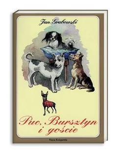 Puc, Bursztyn i goście - Książki edukacyjne - miniaturka - grafika 1