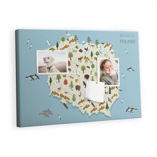 Tablica korkowa 60x40 cm, wzór Polska Mapa zwierząt - Tablice i flipcharty - miniaturka - grafika 1