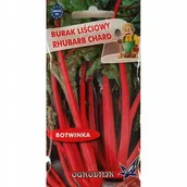 Nasiona i cebule - Burak liściowy Rhubarb Chard 5g / O / - miniaturka - grafika 1